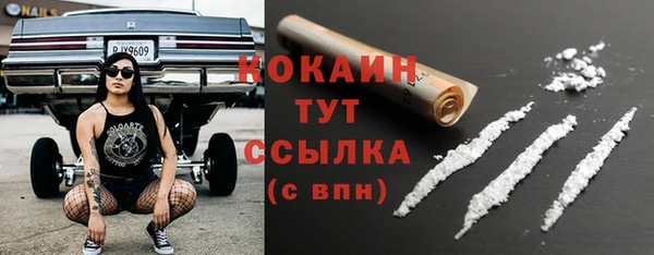 PSILOCYBIN Армянск