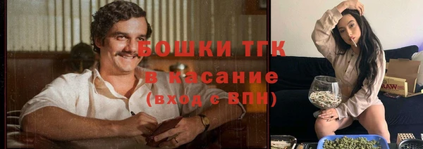 PSILOCYBIN Армянск