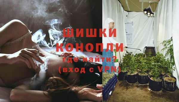 PSILOCYBIN Армянск