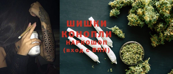 PSILOCYBIN Армянск