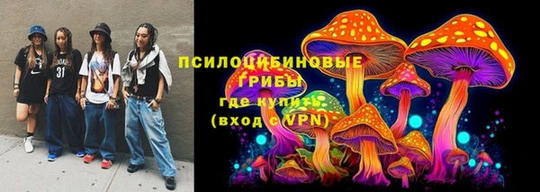 PSILOCYBIN Армянск